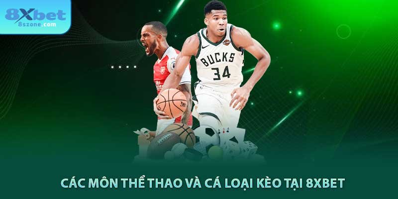 Các môn thể thao và cá loại kèo tại 8xbet