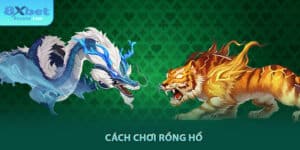Cách chơi rồng hổ