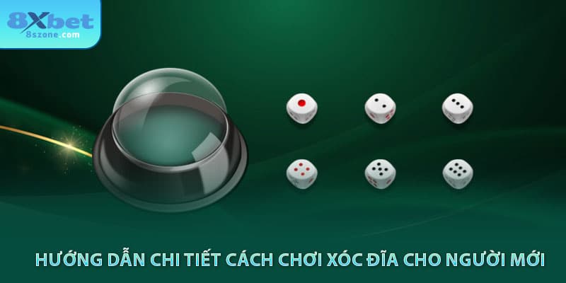 Hướng dẫn chi tiết cách chơi xóc đĩa cho người mới